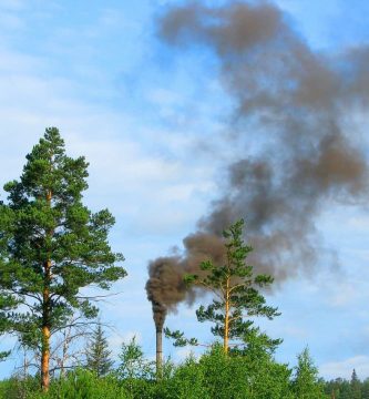 Servicios Integrales de Ingeniería Ambiental